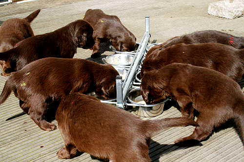 IMG_7895.JPG (41600 Byte)