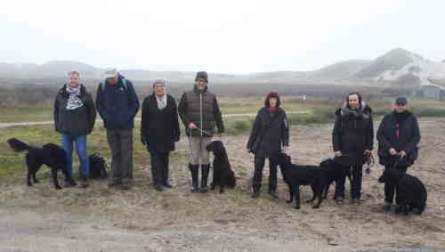 Amrum